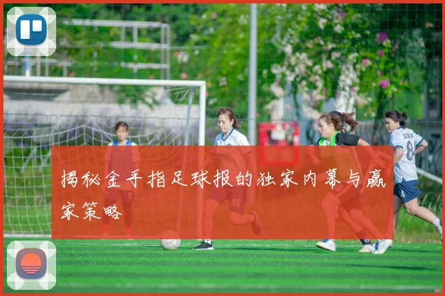 揭秘金手指足球报的独家内幕与赢家策略