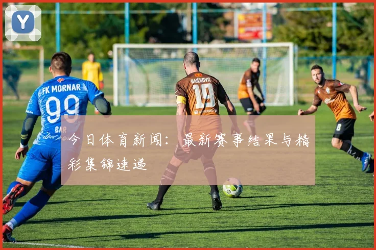 今日体育新闻:最新赛事结果与精彩集锦速递